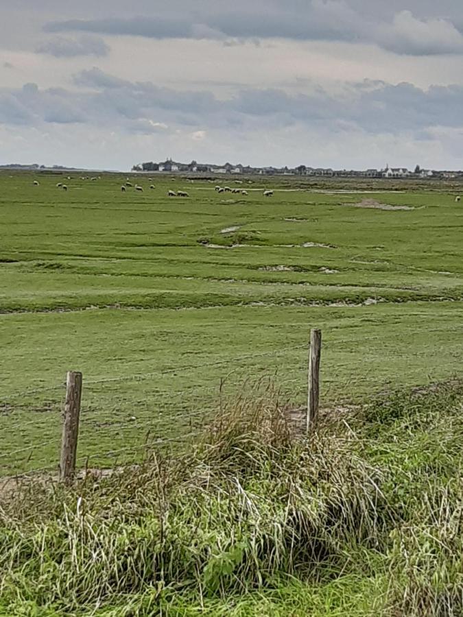Les Obiones, Vue Laterale Mer, Fort Mahon Plage, Magnifique Studio Cabine 4P, Avec Balcon , Parking Prive Gratuit, Wifi, Classe 2 Etoiles, Exposition Plein Sud En Baie De Somme Екстер'єр фото
