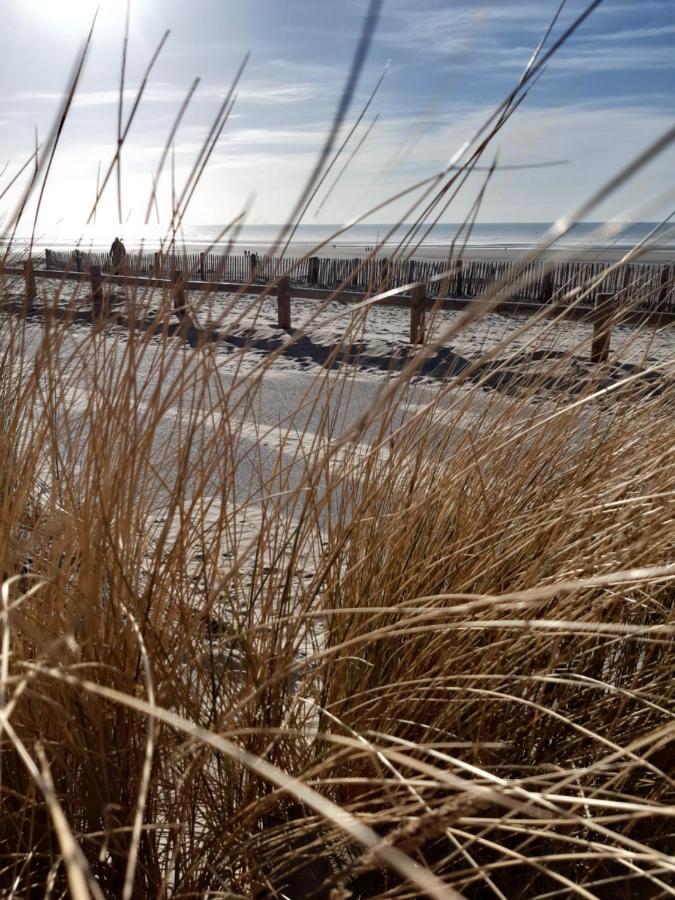 Les Obiones, Vue Laterale Mer, Fort Mahon Plage, Magnifique Studio Cabine 4P, Avec Balcon , Parking Prive Gratuit, Wifi, Classe 2 Etoiles, Exposition Plein Sud En Baie De Somme Екстер'єр фото